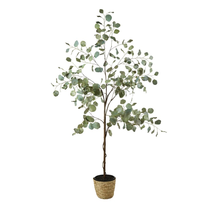 Maisons du Monde MARY - Eucalipto artificial con maceta trenzada Alt.176