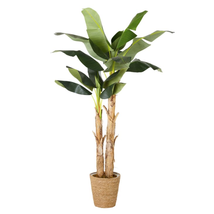 Maisons du Monde CILAOS - Banano artificial con maceta
