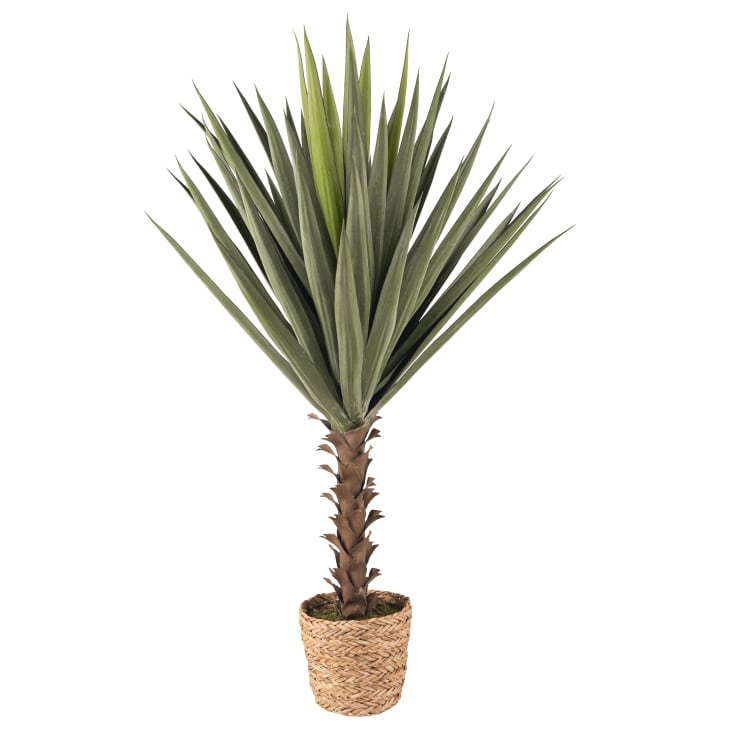 Maisons du Monde Sousse - Yuca artificial verde y marrón de 118 cm