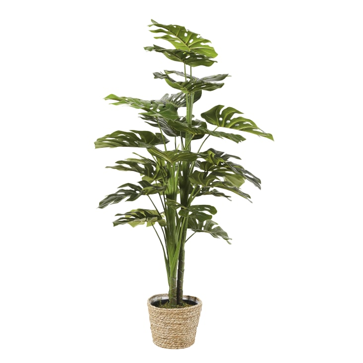 Maisons du Monde Sina - Monstera artificial con maceta