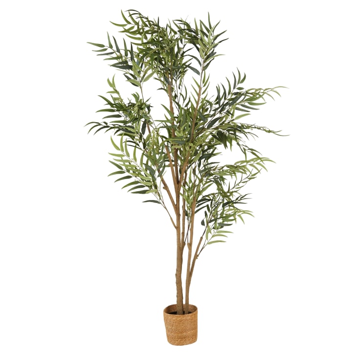 Maisons du Monde Canberra - Eucalipto artificial verde de 240 cm Grandes ahorros