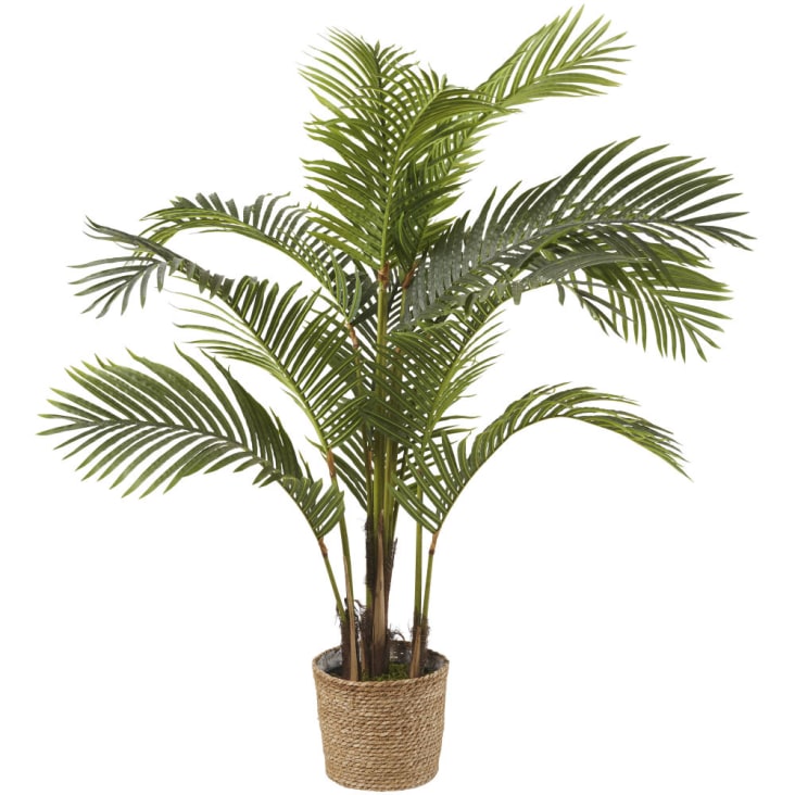 Maisons du Monde MAJESTY - Areca artificial con maceta