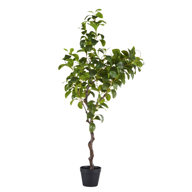 Maisons du Monde PEPA - Planta artificial verde Devoluciones gratuitas