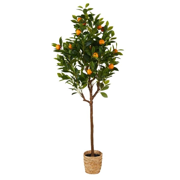Maisons du Monde Tanger - Mandarino artificial verde de 156 cm 2025