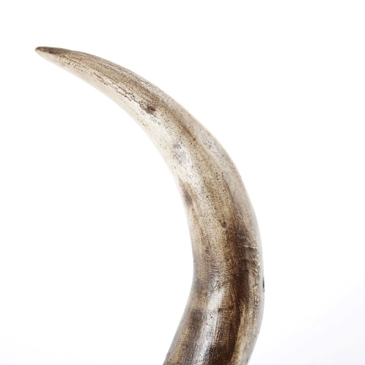 Maisons du Monde Wild - Trofeo de pared de cabeza de búfalo esculpido marrón 73x73 Oferta especial
