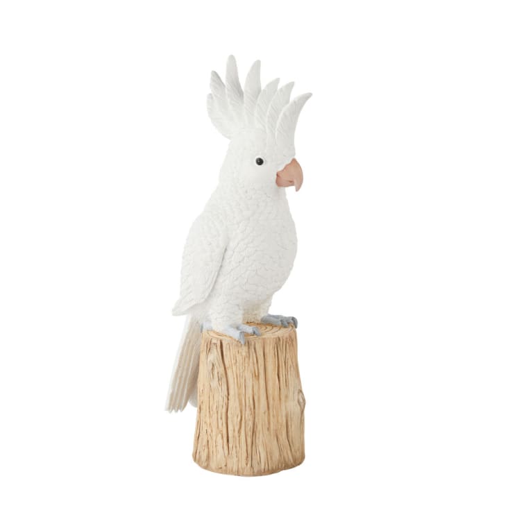 Maisons du Monde KAKATO - Estatua de jardín de cacatúas con raíces de árbol blanco Alt. 51