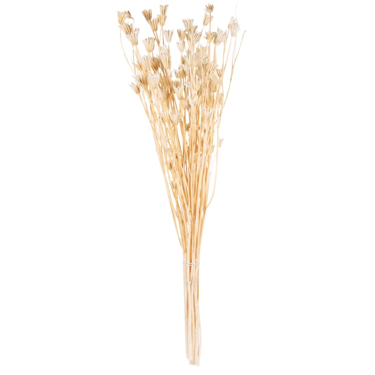 Maisons du Monde Conicas - Ramo de flores secas blancas