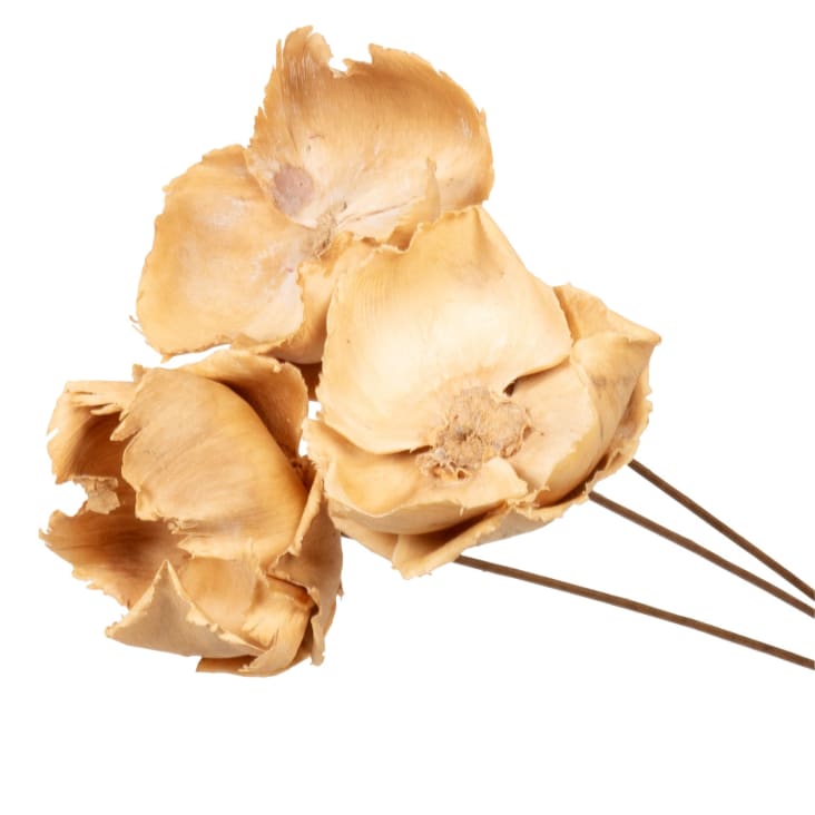 Maisons du Monde Amaranthe - Lote de 2 - Tallos de flores secas beige Tienda