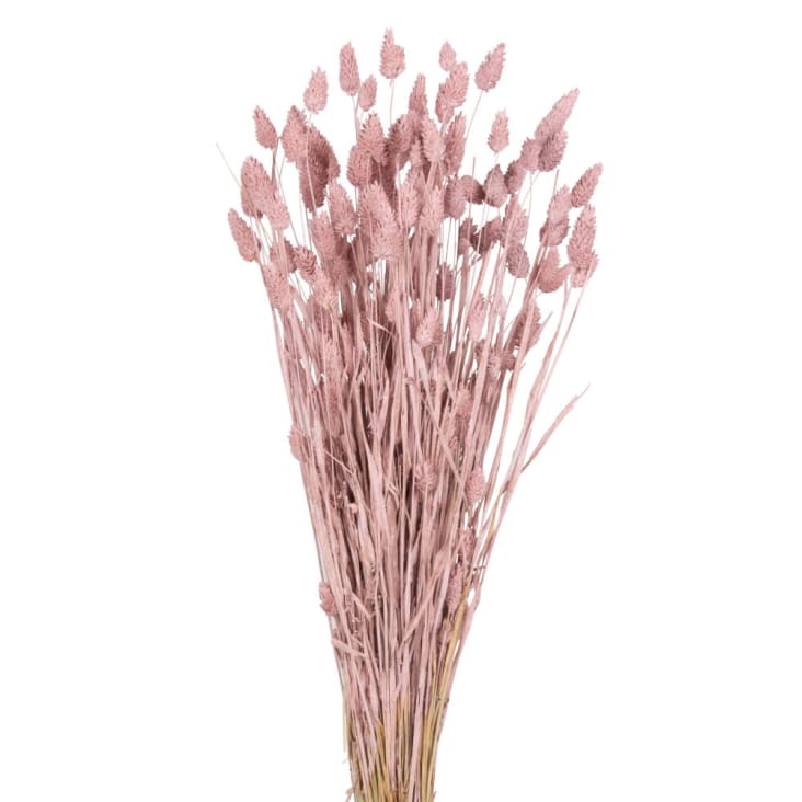 Maisons du Monde Ramillete de phalaris seca color rosa Últimos 3 días