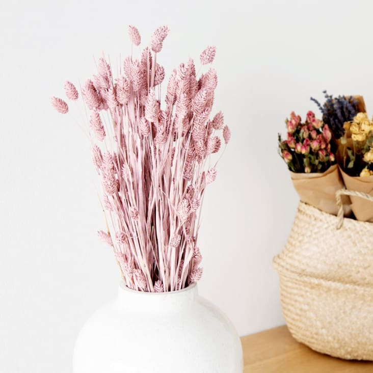 Maisons du Monde Ramillete de phalaris seca color rosa Últimos 3 días